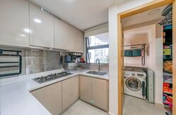 Blossom Residences (D23), Condominium #542177131